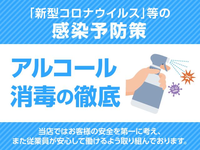 2.5X プリクラッシュWモニター両電動Dレーダークルーズ車線逸脱警報コンセント8人乗り(64枚目)