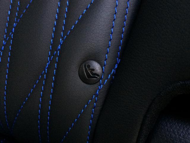 エルグランド オーテック　／４ＷＤ／Ｗサンルーフ／オーテックエアロ＆専用レザーシート／シートヒーター／純正１０インチナビ／純正フリップダウンモニター／全周囲カメラ／電動ゲート／両電動ドア／１オナ／記録簿／禁煙車／全国１年保証（50枚目）