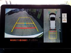 ե륻ԣ֥֡롼ȥǥʤɡ͡ʥǥбνʥӣԣ֡ϥǡ̤Ǹ䤹ָ¿Ǥ 3