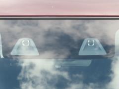 �ڥǥ奢�륫���֥졼�����ݡ��ȡۥե���ȥ��饹���������֤��줿���ĤΥ����������μ�ξ���ʪ���Τ������ͤ����Ǥ��ʤ���Ƚ�Ǥ������˾����ﳲ�ڸ��֥졼������ư�����ͤ����ޤ��Ϸڸ����ޤ��� 7