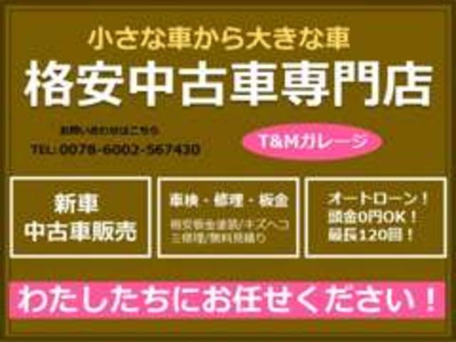 Ｇ　純正ナビ　ワンセグ　ＥＴＣ　ドアバイザー　キーレスキー　電動格納ミラー　ルーフキャリアー　衝突安全ボディ　プライバシーガラス　ＣＶＴ　取説＆記録簿付き　Ｗエアバック　ＡＢＳ　盗難防止　チェーンベルト(30枚目)