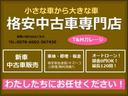 Ｇ　純正ナビ　ワンセグ　ＥＴＣ　ドアバイザー　キーレスキー　電動格納ミラー　ルーフキャリアー　衝突安全ボディ　プライバシーガラス　ＣＶＴ　取説＆記録簿付き　Ｗエアバック　ＡＢＳ　盗難防止　チェーンベルト(30枚目)