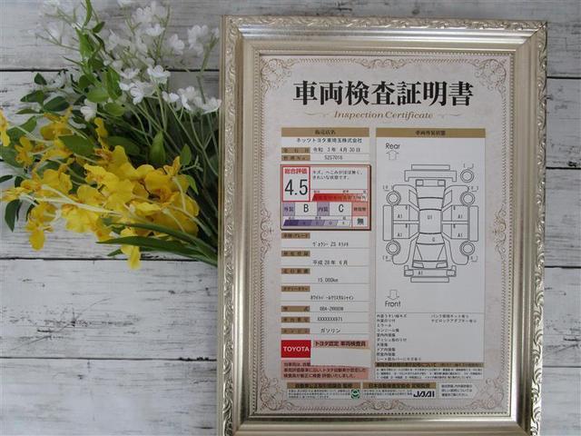 ZS 煌 SDナビゲーション 両側電動スライドドア ワンオーナー ETC LEDヘッドライト(19枚目)