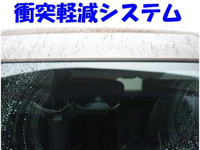 20Xt エマージェンシーブレーキパッケージ SDナビ(4枚目)