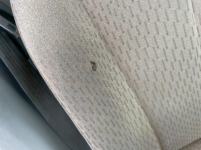 パレット Ｌ（30枚目）