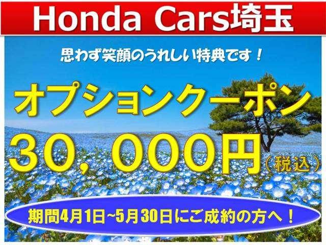 G・Lターボホンダセンシング 純正メモリーナビ Bluetooth ETC Rカメラ(3枚目)
