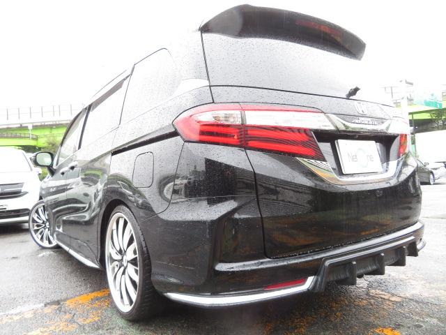 アブソルート あんしんPKG・メーカーナビ・地デジ・バックカメラ・っ両側電動スライド・TEIN車高調・ワーク20AW(12枚目)