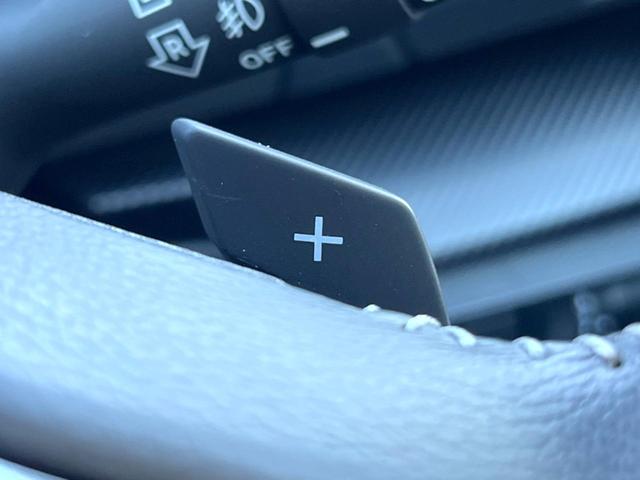 インプレッサスポーツ １．６ｉ－Ｌアイサイト　Ｓスタイル　アイサイトセイフティプラス　キーレスアクセス　プッシュスタート　純正ナビ　バックカメラ　ＥＴＣ　ＬＥＤヘッドライト　純正１６インチアルミホイール　アダプティブクルーズコントロール　オートエアコン（46枚目）