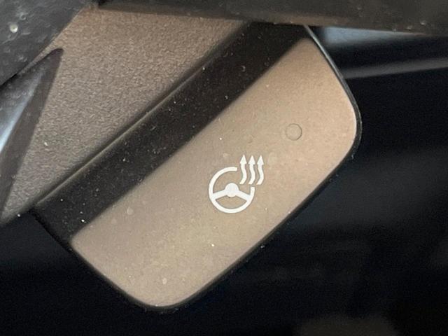 フォレスター ツーリング　パワーシートセット　アイサイトセイフティプラス　フロント・サイドカメラ　スマートリアビューミラー　ＬＥＤヘッドライト　純正１７インチアルミ　シートメモリー　前後席シートヒーター　スマートキー　４ＷＤ（30枚目）