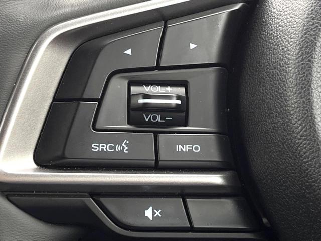 フォレスター アドバンス　Ｆ型　ルーフレール　ＬＥＤアクセサリーライナー　純正８型ダイアトーンナビ　メモリー機能付きパワーシート　パワーバックドア　純正１８インチアルミ　ドライバーモニタリングシステム　ｅーＢＯＸＥＲ（28枚目）