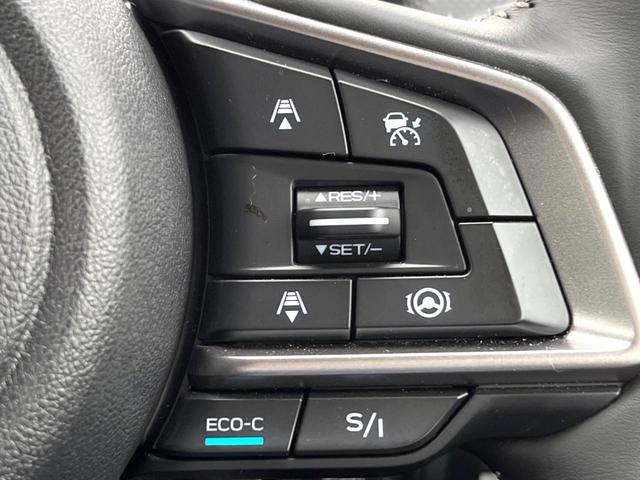 フォレスター アドバンス　Ｆ型　ルーフレール　ＬＥＤアクセサリーライナー　純正８型ダイアトーンナビ　メモリー機能付きパワーシート　パワーバックドア　純正１８インチアルミ　ドライバーモニタリングシステム　ｅーＢＯＸＥＲ（29枚目）