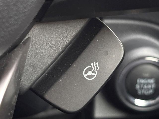 フォレスター アドバンス　Ｆ型　ルーフレール　ＬＥＤアクセサリーライナー　純正８型ダイアトーンナビ　メモリー機能付きパワーシート　パワーバックドア　純正１８インチアルミ　ドライバーモニタリングシステム　ｅーＢＯＸＥＲ（31枚目）