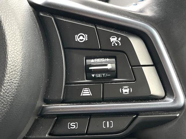 レヴォーグ ＧＴ－Ｈ　ＥＸ　リアアンダーディフューザー　ＬＥＤアクセサリーライナー　ＣＤ／ＤＶＤデッキ　パワートランクリッド　１１．６型メモリーナビ　純正１８インチアルミ　ＬＥＤヘッドライト　革巻きステアリング　禁煙車（29枚目）