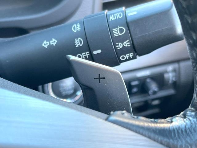 レガシィツーリングワゴン ２．５ｉアイサイト　革シートセット　純正ナビ　バックカメラ　ＥＴＣ　ＨＩＤヘッドライト　純正１７インチアルミホイール　キーレスアクセス　プッシュスタート　デュアルオートエアコン　パワーシート　クリアビューパック（29枚目）