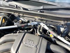 ڣӣԣɥС֤ۤι륿СꥹࡼʥʥԤǽȤʤꡢڤޤ 4