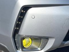 �ڣ̣ţĥ��������꡼�饤�ʡ��� 6