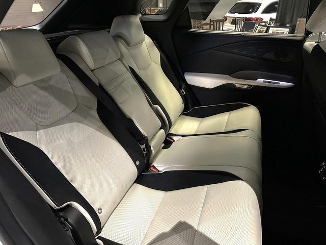 ＲＸ 　新車保証付　オレンジキャリパー　パノラマサンルーフ　白本革エアーシート　全周モニター　１４型ＤＡコネクトナビ　ルーフレール　Ｄインナーミラー　ドラレコ　三眼ＬＥＤ　Ｐバックドア　ＨＵＤ　ＥＴＣ２．０（29枚目）