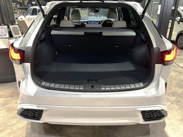 ＲＸ 　新車保証付　オレンジキャリパー　パノラマサンルーフ　白本革エアーシート　全周モニター　１４型ＤＡコネクトナビ　ルーフレール　Ｄインナーミラー　ドラレコ　三眼ＬＥＤ　Ｐバックドア　ＨＵＤ　ＥＴＣ２．０（32枚目）