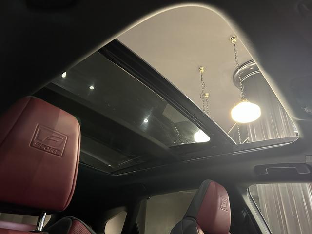 RX RX500h Fスポーツパフォーマンス ガラスルーフ キャリパー 輻射ヒーター 赤革シート 標準21アルミホイール 置充電 デジタルミラー(3枚目)