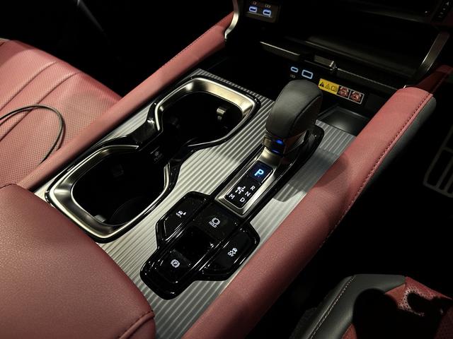 RX RX500h Fスポーツパフォーマンス ガラスルーフ キャリパー 輻射ヒーター 赤革シート 標準21アルミホイール 置充電 デジタルミラー(25枚目)