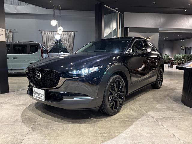 ＣＸ－３０ ２０Ｓ　レトロスポーツエディション　全周カメラ　１８インチＡＷ　ＢＯＳＥ　ＥＴＣ（9枚目）