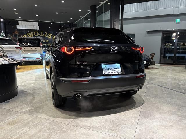 ＣＸ－３０ ２０Ｓ　レトロスポーツエディション　全周カメラ　１８インチＡＷ　ＢＯＳＥ　ＥＴＣ（10枚目）