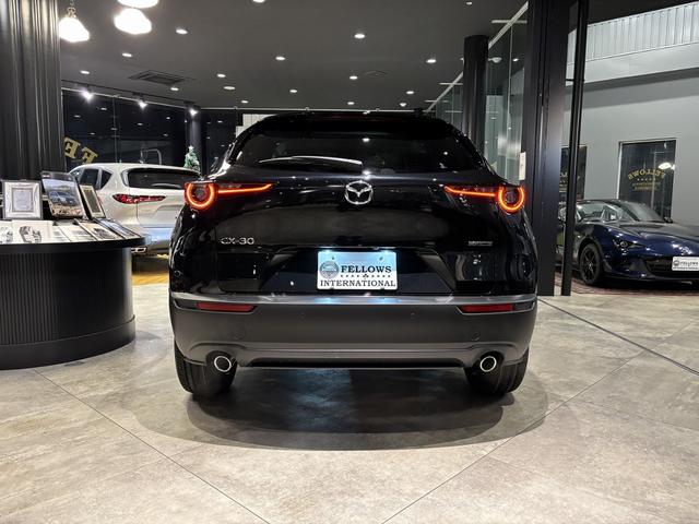 ＣＸ－３０ ２０Ｓ　レトロスポーツエディション　全周カメラ　１８インチＡＷ　ＢＯＳＥ　ＥＴＣ（11枚目）