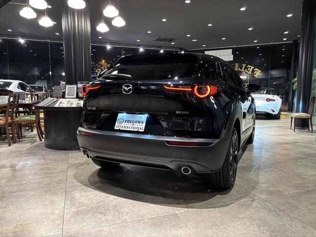 ＣＸ－３０ ２０Ｓ　レトロスポーツエディション　全周カメラ　１８インチＡＷ　ＢＯＳＥ　ＥＴＣ（12枚目）