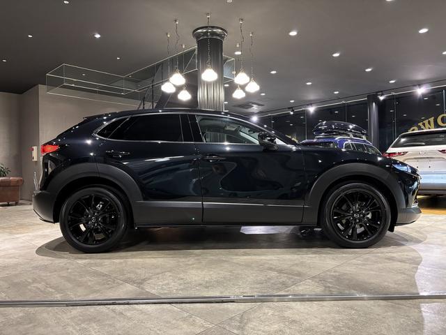 ＣＸ－３０ ２０Ｓ　レトロスポーツエディション　全周カメラ　１８インチＡＷ　ＢＯＳＥ　ＥＴＣ（13枚目）