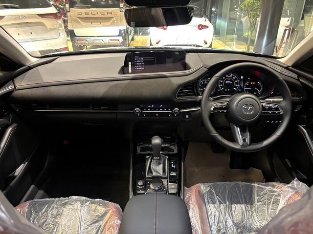 ＣＸ－３０ ２０Ｓ　レトロスポーツエディション　全周カメラ　１８インチＡＷ　ＢＯＳＥ　ＥＴＣ（17枚目）