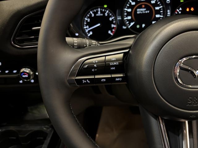 ＣＸ－３０ ２０Ｓ　レトロスポーツエディション　全周カメラ　１８インチＡＷ　ＢＯＳＥ　ＥＴＣ（19枚目）