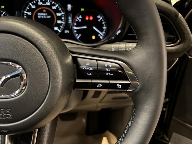 ＣＸ－３０ ２０Ｓ　レトロスポーツエディション　全周カメラ　１８インチＡＷ　ＢＯＳＥ　ＥＴＣ（20枚目）