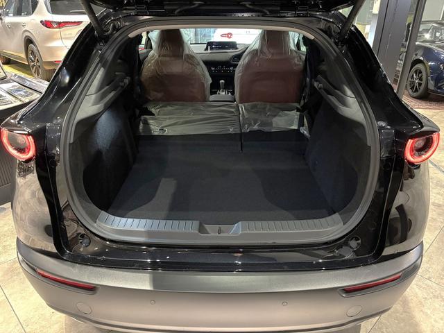 ＣＸ－３０ ２０Ｓ　レトロスポーツエディション　全周カメラ　１８インチＡＷ　ＢＯＳＥ　ＥＴＣ（28枚目）