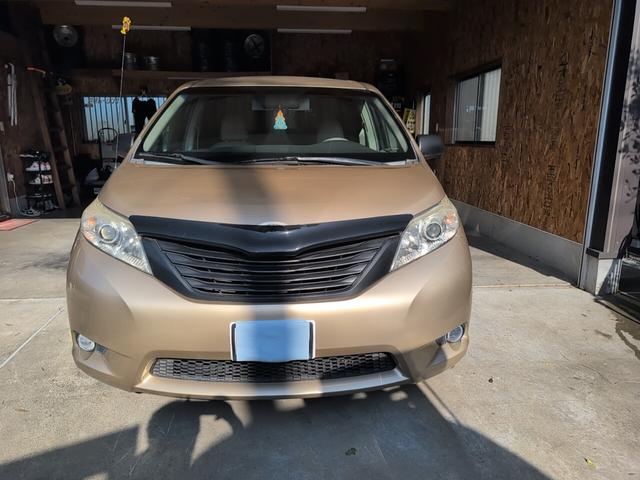 シエナ （2枚目）