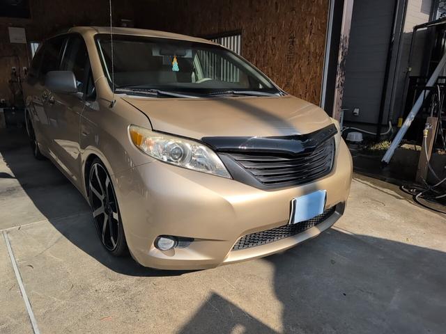 シエナ （6枚目）