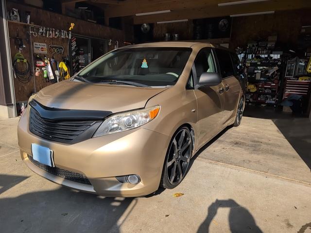 シエナ （7枚目）