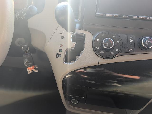 シエナ （11枚目）