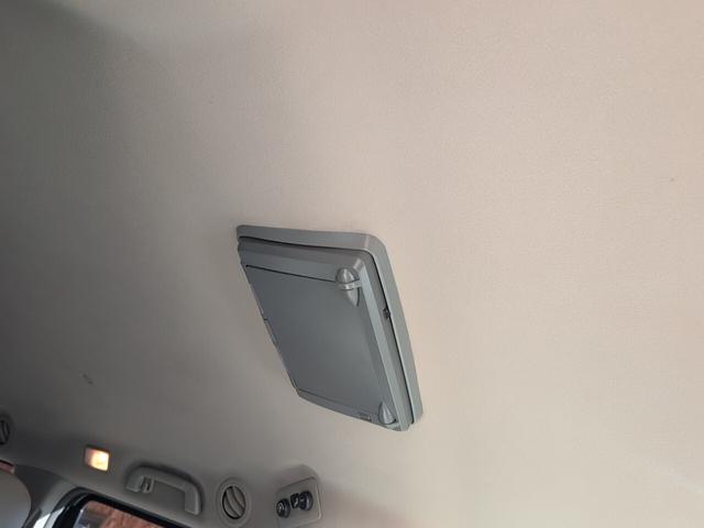 シエナ （12枚目）