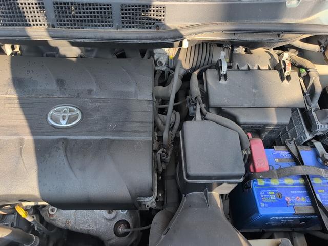 シエナ （17枚目）