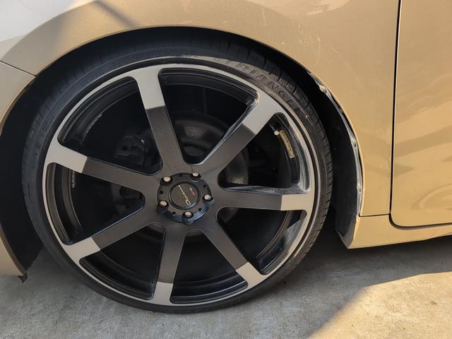 シエナ （18枚目）