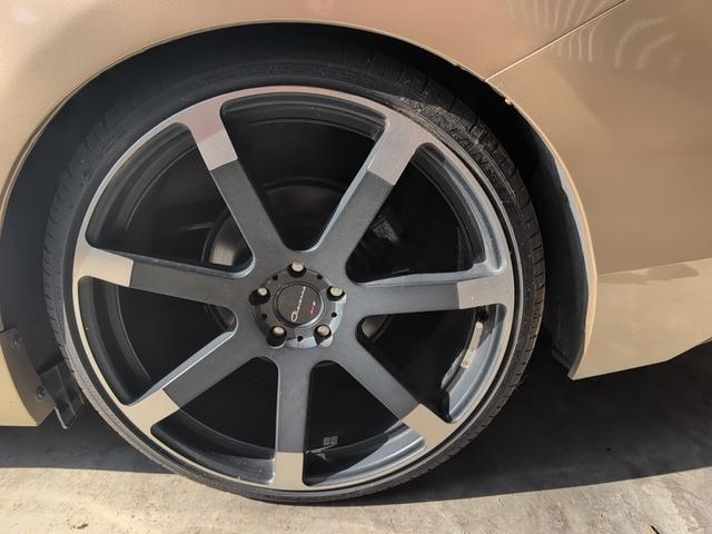 シエナ （19枚目）