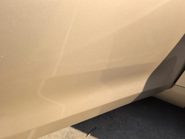 シエナ （23枚目）