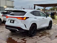 줿ƥι⤤Ѥ¿·Ƥꡢʼ졼ɡʤˤꡢȴѤ󶡤ĺƤޤͤΤŹ򥹥åհƱꤪԤפƤޤ 7