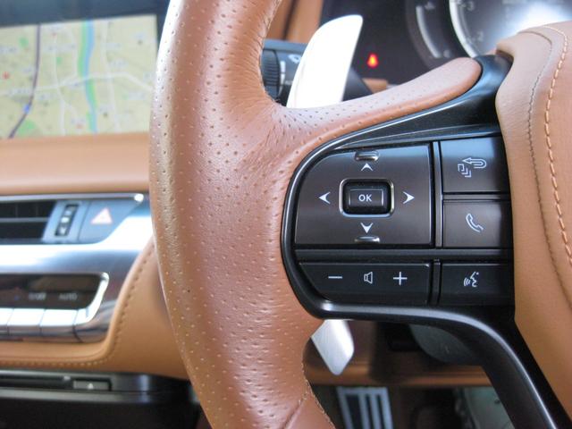 ＬＣ ＬＣ５００　Ｓパッケージ　ＴＲＤエアロ＆２１インチＡＷ　マークレビンソンサウンド　カラーＨＵＤ　純正ナビ　Ｂカメラ　ＴＶ　社外レーダー　社外３６０ドラレコ　カーボンルーフ　アクティブリアウイング　ＥＴＣ２．０（24枚目）