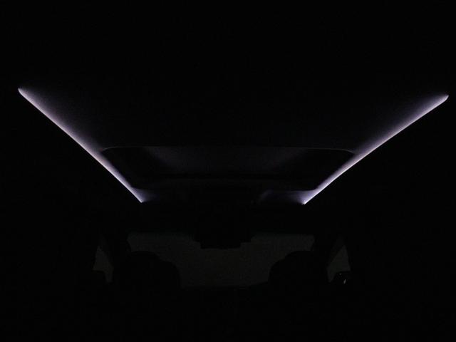 ヴェルファイア ２．４Ｚ　ゴールデンアイズＩＩ　（特別仕様車）（禁煙車）（サンルーフ）（純正９インチナビ）（後席モニター）（Ｂｌｕｅｔｏｏｔｈ接続）（ハーフレザーシート）（パワーバックドア）車高調　システムコンソール　ＡＣ１００　両側電動　ＥＴＣ（20枚目）