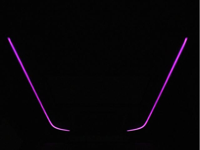アルファードハイブリッド エグゼクティブラウンジ　（禁煙車）（ワンオーナー）（ＪＢＬサウンド）（本革電動エアシート）（サンルーフ）（全周囲カメラ）（リアエンターシステム）シートメモリ＆ヒーター　パワーバックドア　両側電動スライドドア　ＥＴＣ　フルセグ（16枚目）