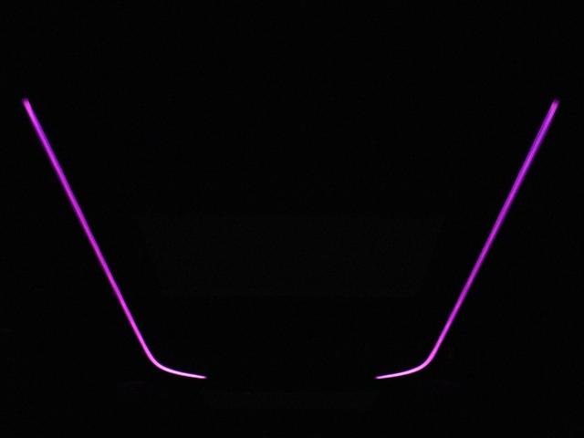 アルファード ３．５エグゼクティブラウンジ　（禁煙）（サンルーフ）（黒革電動エアシート）（ＪＢＬサウンド）（リアエンタシステム）（全周囲カメラ）衝突軽減　レーダークルーズ　フルセグ　パワーバックドア　両側電動ドア　ＥＴＣ　シートメモリ＆ヒーター（16枚目）