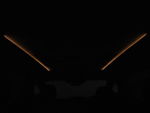 ヴェルファイア ２．４Ｚ　（後期型）（サンルーフ）（モデリスタエアロツアラー）（ＷＯＲＫ製２０インチアルミ）（ＴＥＩＮ車高調）（８人乗り）（純正８インチナビ）後席モニター　Ｂｌｕｅｔｏｏｔｈ接続　クルコン　革調シートカバー（15枚目）