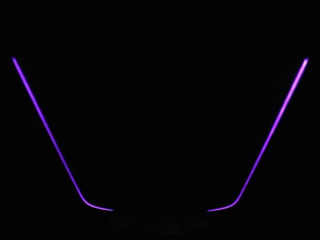 アルファード 2.5S Cパッケージ (禁煙車)(サンルーフ)(モデリスタエアロカスタム)(純正ディスプレイオーディオ)(後席モニター)(黒革電動シート)シートメモリー パワーバックドア 両側電動スライド ETC 衝突軽減 追従クルコン(17枚目)