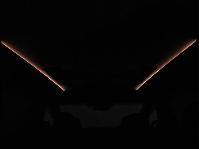 アルファード 240S タイプゴールドII (禁煙)(サンルーフ)(ALPINE10インチナビ)(後席モニター)(特別仕様車)ハーフレザー フルセグTV Bluetooth接続 パワーバックドア 両側電動スライド ETC クルコン コンセント付(15枚目)